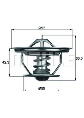 WILMINK GROUP Termostats, Dzesēšanas šķidrums WG1262752